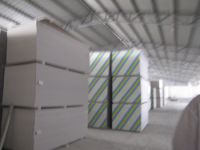 regular gypsum board