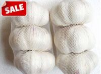 Fresh Garlic