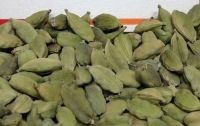 Cardamom (Elachi