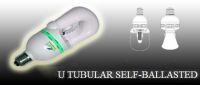 integrative self-ballasted induction  lamp