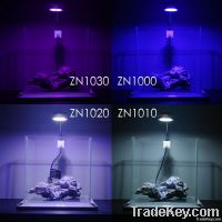 marine light