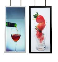 Advertising Led Light Box
