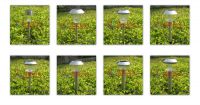 Solar Stainless Light