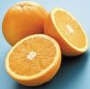 https://cn.tradekey.com/product_view/Citrus-Orange-150064.html