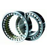 Cylindrical Roller Bearing