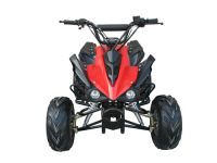 atv , quad atv , mini atv , pocket atv