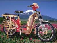 Electric Bicycle (60V