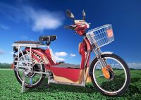 Electric Bicycle (golden King