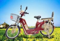 Electric Bicycle-Asia Lion