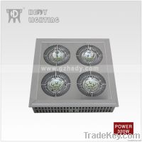 LED High Pole Light