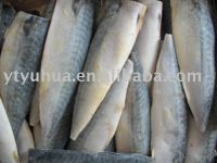 Frozen Mackerel Fillets