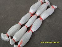 Nylon Monofilament Fishing Net 2