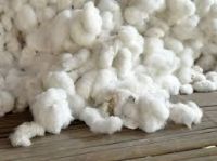 RAW COTTON