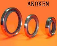 Oil Sealing 02