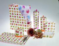 Paper Stationery