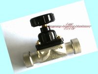 DG25/I diaphragm valve