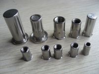 stainless steel rivet nut