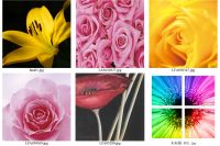 Canvas Prints, Canvas Picture, Wall Art2