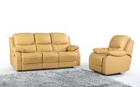Leather Sofa (B521