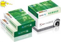 LJW Superb High-quality Static Copy
