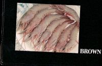 Fresh Fish &live Crabs