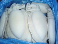 Frozen Squid, Cuttlefish, Octobus, Seafood, Shrimp