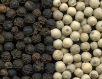 Black Pepper And White Pepper