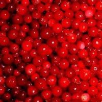 Lingonberry Powder