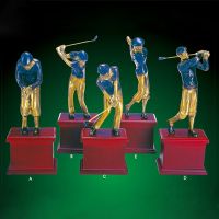 metal alloy trophy
