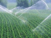 Impact Sprinkler
