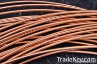 Copper Wire Rod