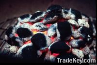 Coking Coal | Steam Coal & Met Coal