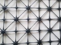 geogrid