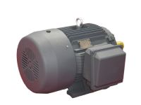 Low Voltage Three Phase Induction Motor