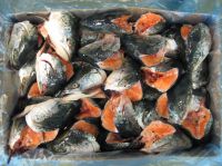 Salmon Heads