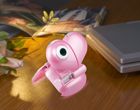 Webcam-Love Developing From Changeable Heart