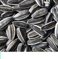 Sunflower Seeds5009