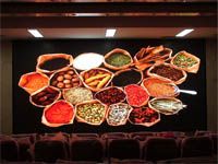 Indoor Led Display