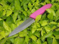 4 inch Parer, Ceramic Knife, Black Ceramic Blade, Purple Silicone Handle