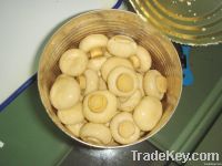 Canned whole mushroom