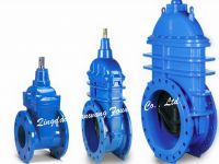 gate valve body 001