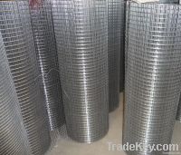 Welded Wire Mesh