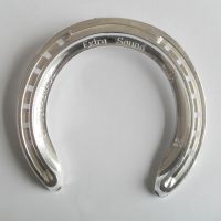 CTMA Horseshoes
