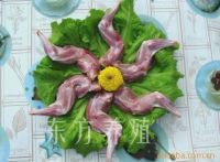 frozen rabbit meat fore legs From China