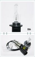 Motorcycle Xenon HID