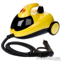 steam cleaner, steamer, carpet cleaning