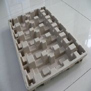 Paper Molded Packaging