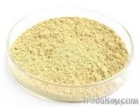 Chrysanthemum leaf extract