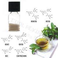 Green Tea Extract 50%