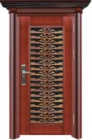Security Door